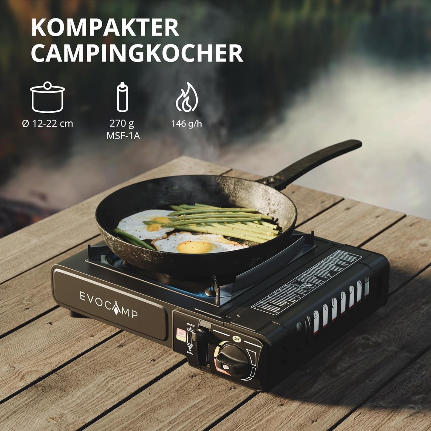 Portable Gas Stove